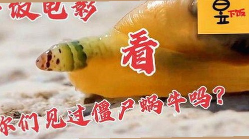 娱乐圈热点事件：明星命运大反转背后的真相揭秘